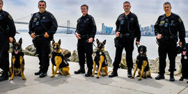 Canine Unit